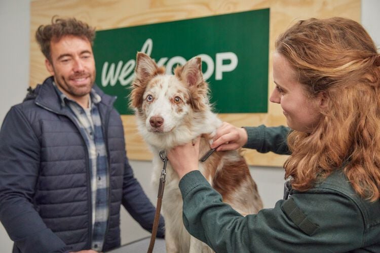 Jouw dierspecialist in de buurt. Jouw dierspecialist in de buurt.